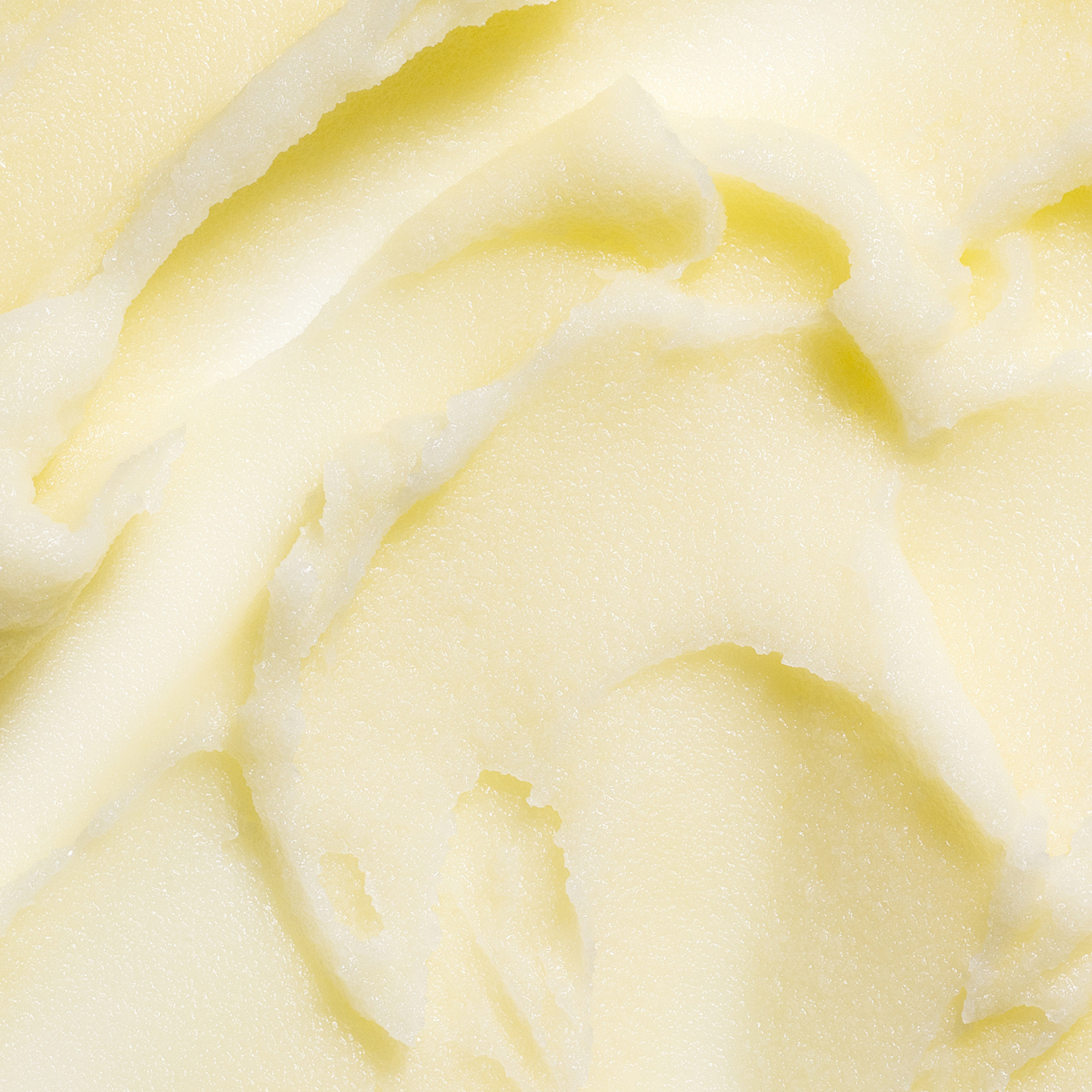 Fresh Citrus Burst - Tallow Balm Moisturizer